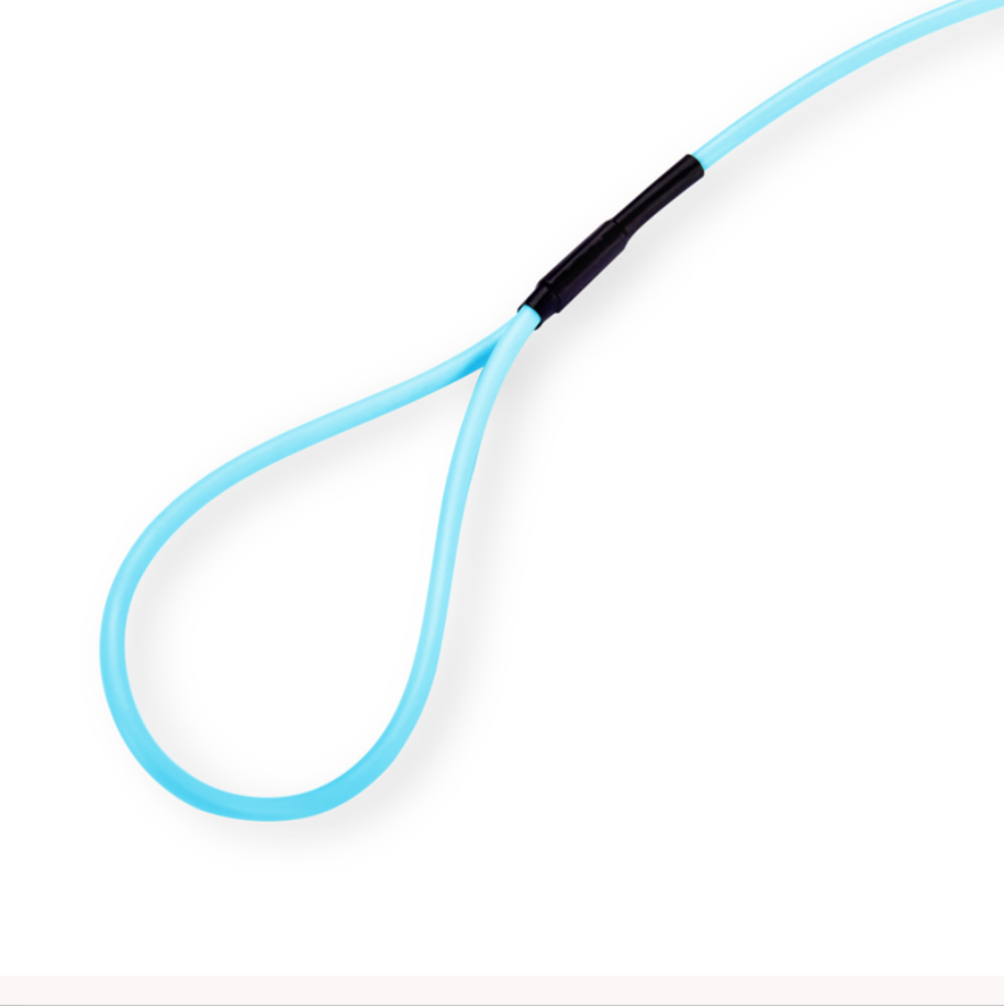 6mm Diameter Fluo Blue Round Training Dog Leash in TPU